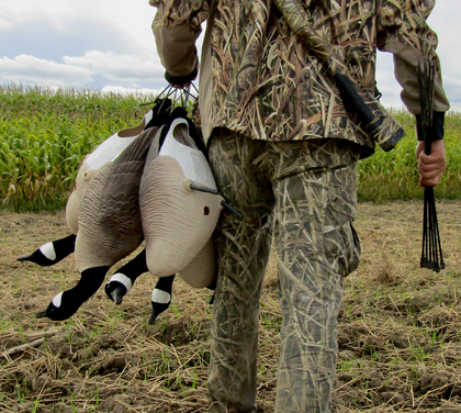 skyfall decoys categorie appelants