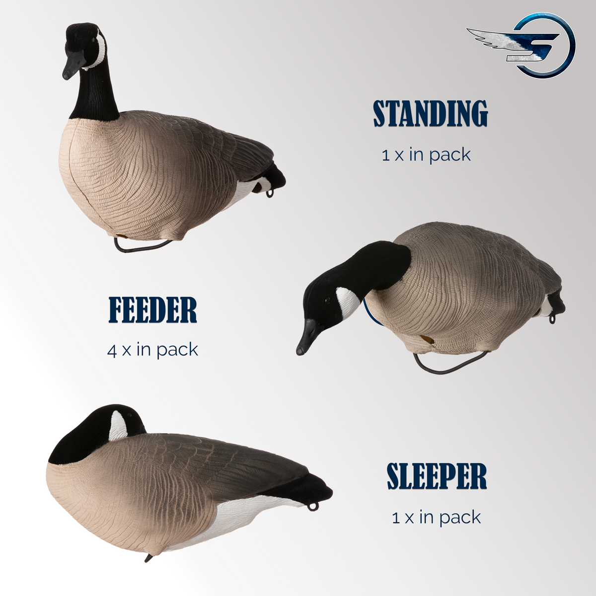 Canada Goose 6 box 2.0 improved model