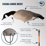 Bernache du Canada - Boîte de 6 appelants