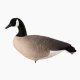 Bernache du Canada - Boîte de 6 appelants