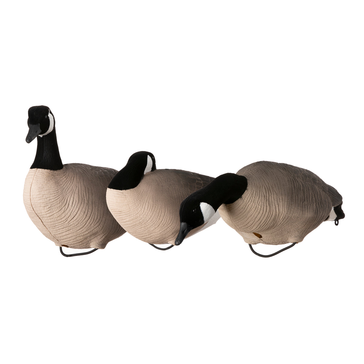 Canada Goose 6/box improved model – Skyfall Decoys