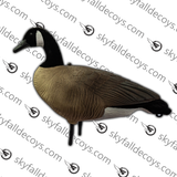 Bernache du Canada Modèle V2.0 Amélioré Ensemble Découverte