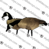 Bernache du Canada Modèle V2.0 Amélioré Ensemble Découverte