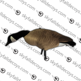 Bernache du Canada Modèle V2.0 Amélioré Ensemble Découverte