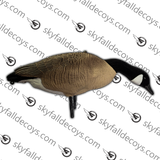 Bernache du Canada Modèle V2.0 Amélioré Ensemble Découverte