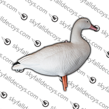 Snow Goose V2 - Discovery Kit
