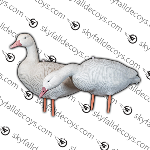 Snow Goose V2 - 12 / box