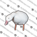 Snow Goose V2 - 12 / box